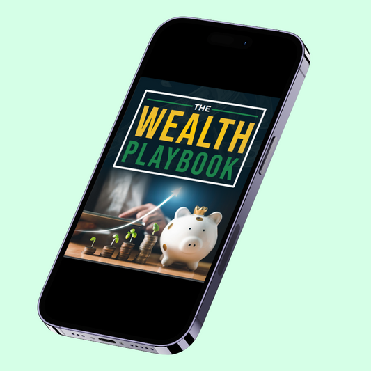 THE WEALTH PLAYBOOK